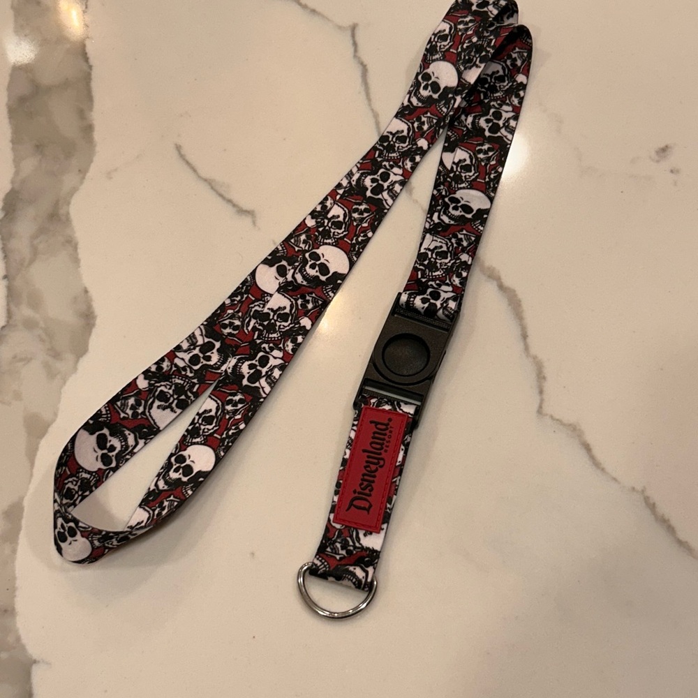 Disneyland Skull Lanyard pins